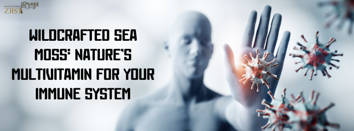 Wildcrafted Sea Moss: Nature’s Multivitamin for Your Immune System
