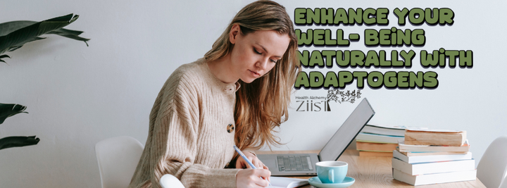 Ziist FOCUS Ginseng: Unlock the Benefits of Adaptogens for Well-Being