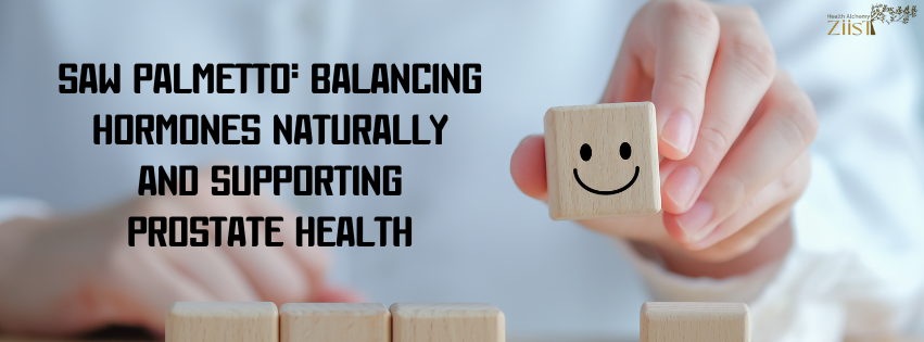 Saw Palmetto: Balancing Hormones Naturally and Supporting Prostate Health