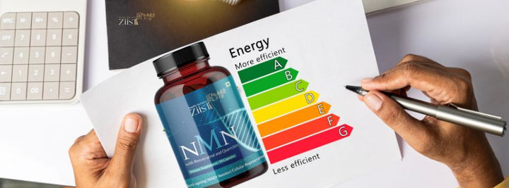 How NMN Supplements Can Boost Your Energy Levels