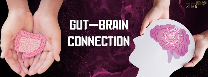 Gut-Brain Connection: The Role of Probiotics in Mental Clarity and Mood