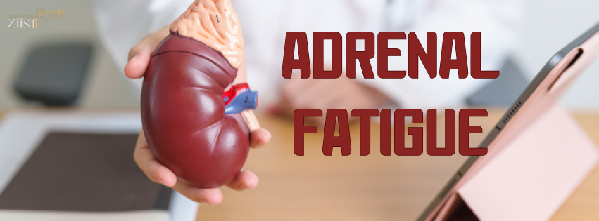 Understanding Adrenal Fatigue: Causes and Symptoms