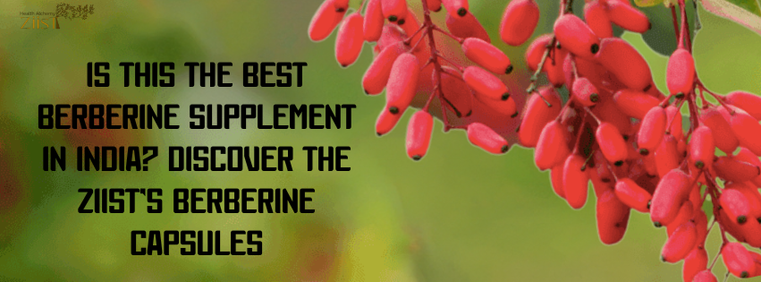 Is This the Best Berberine Supplement in India? Discover The Ziist’s Berberine Capsules