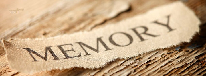 How to Improve Brain Function with Memory Boosting Supplements