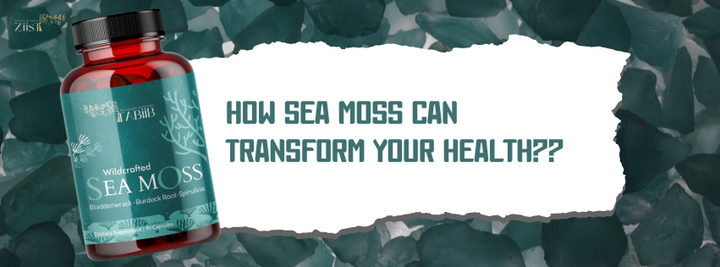How Sea Moss Can Transform Your Health: Nutritional Benefits
