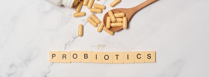 The Role of Probiotics in Gut Health