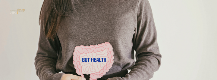 Exploring the Connection Between Gut Health and Overall Wellness