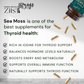 Wildcrafted Sea Moss 1200mg per serving (90 capsules)