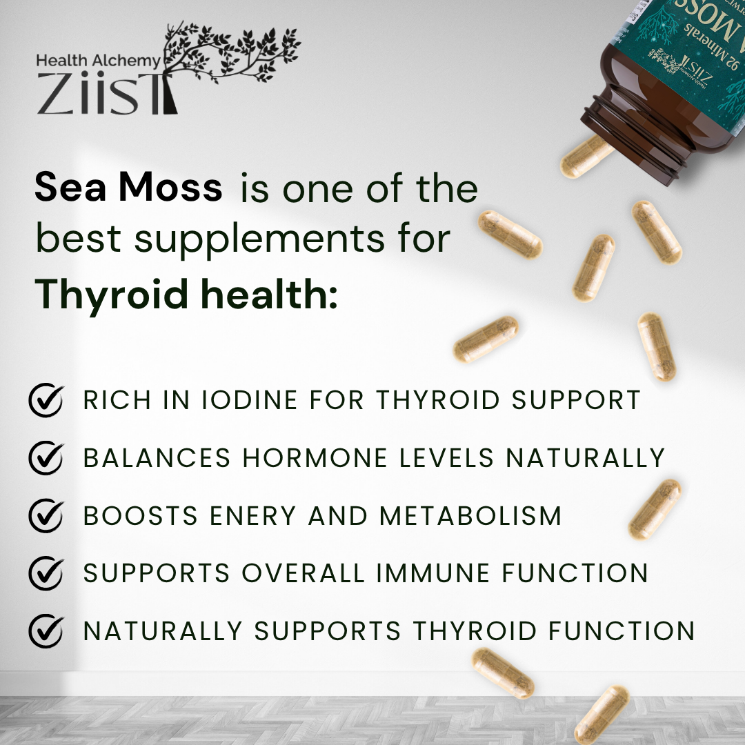 Wildcrafted Sea Moss 1200mg per serving (90 capsules)
