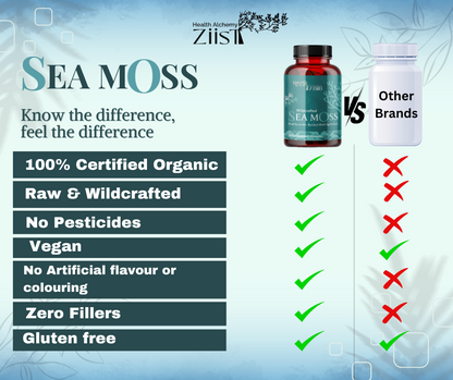 "90 capsules of Wildcrafted Sea Moss 1200mg from The Ziist"