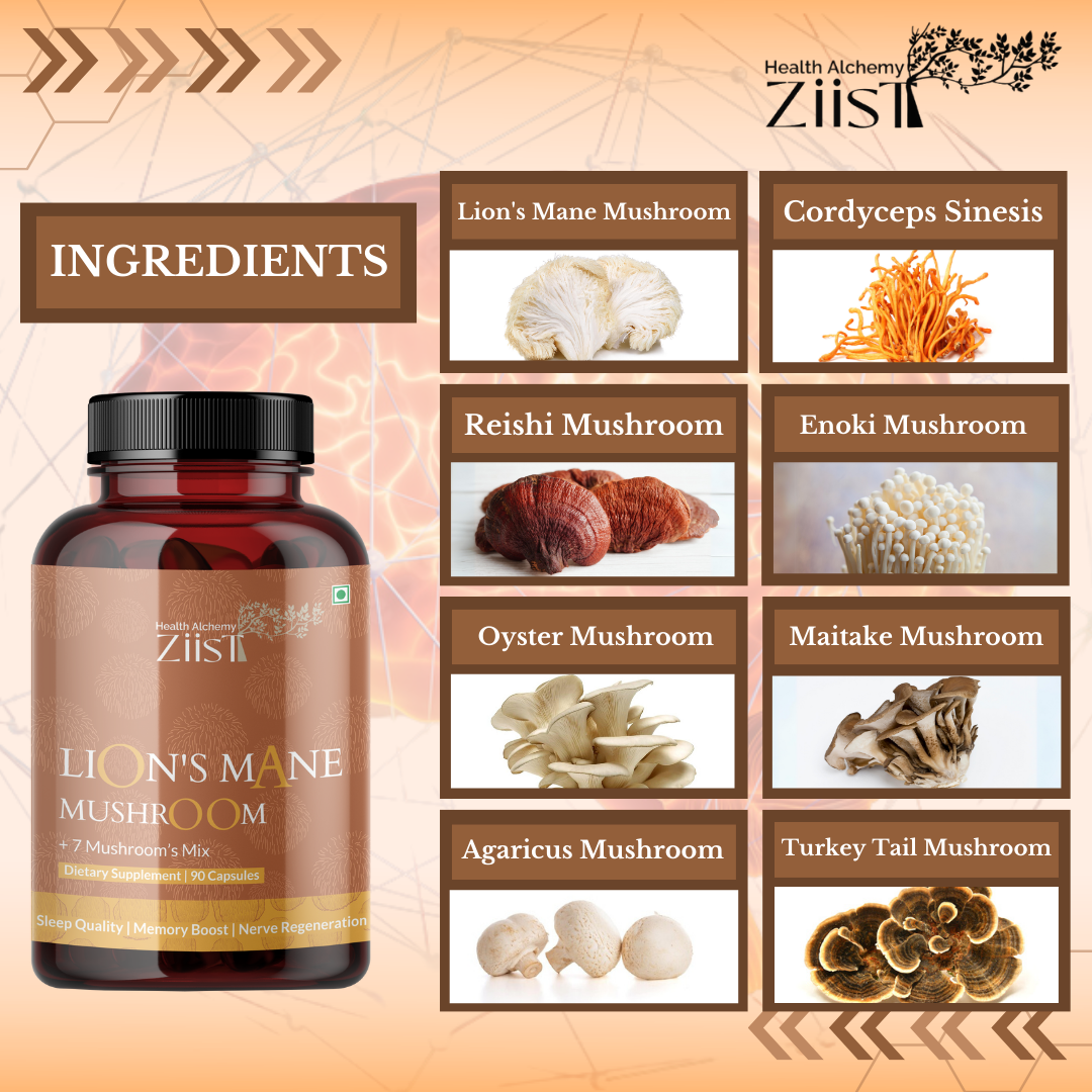 Enhance Focus & Memory – Brainshrooms and Lion’s Mane Duo