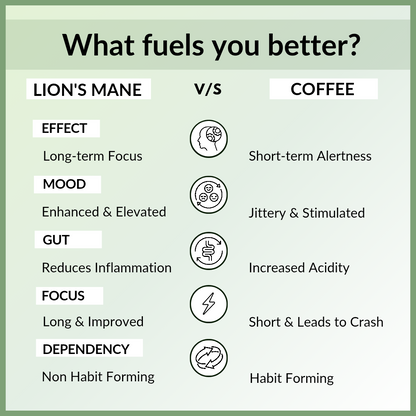 Lion's Mane Mushroom Extract Capsules 1200mg