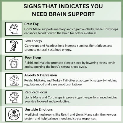 Lion's Mane Mushroom Extract Capsules 1200mg