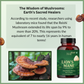 Lion's Mane Mushroom Extract Capsules 1200mg - Organic 7 Mushroom Blend