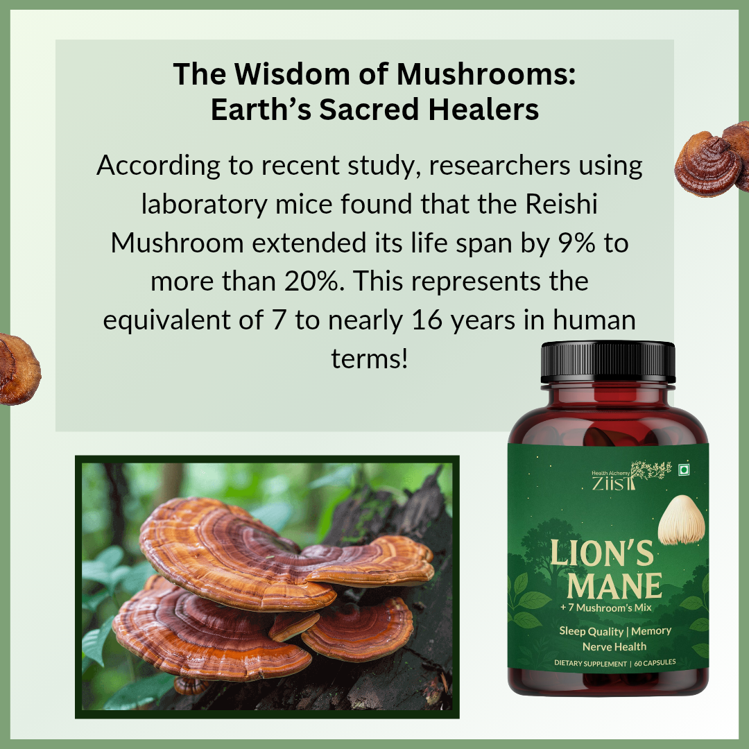 Lion's Mane Mushroom Extract Capsules 1200mg - Organic 7 Mushroom Blend