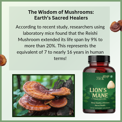 Lion's Mane Mushroom Extract Capsules 1200mg