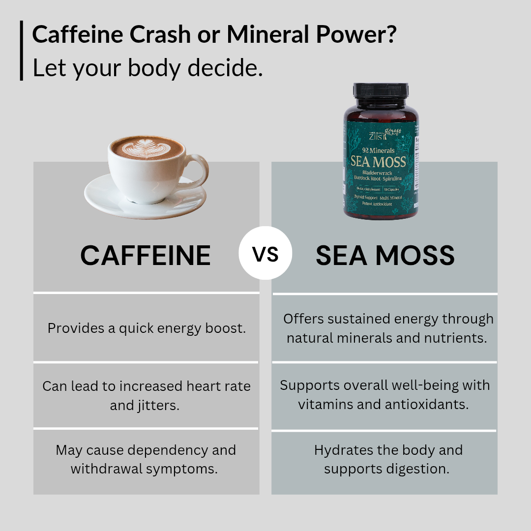 Wildcrafted Sea Moss 1200mg per serving (90 capsules)