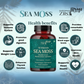 Wildcrafted Sea Moss 1200mg per serving (90 capsules)