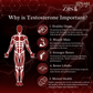 Testosterone Booster 1200mg per serving (90 capsules)